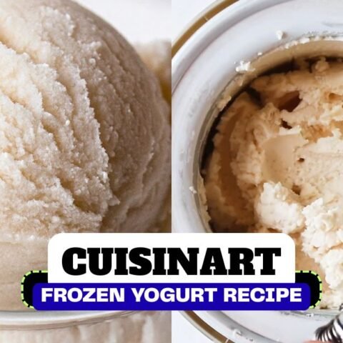 Cuisinart Frozen Yogurt Recipe
