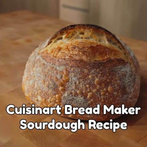 Cuisinart Bread Maker Sourdough Recipe