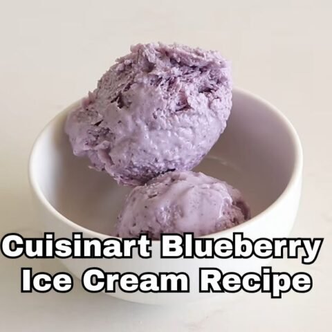 Cuisinart Blueberry Ice Cream Recipe