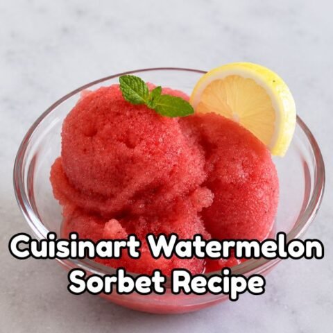 Cuisinart Watermelon Sorbet Recipe
