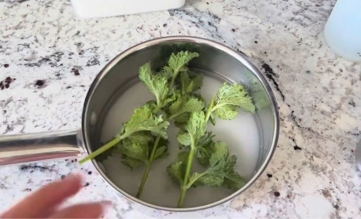 Make the Mint Simple Syrup